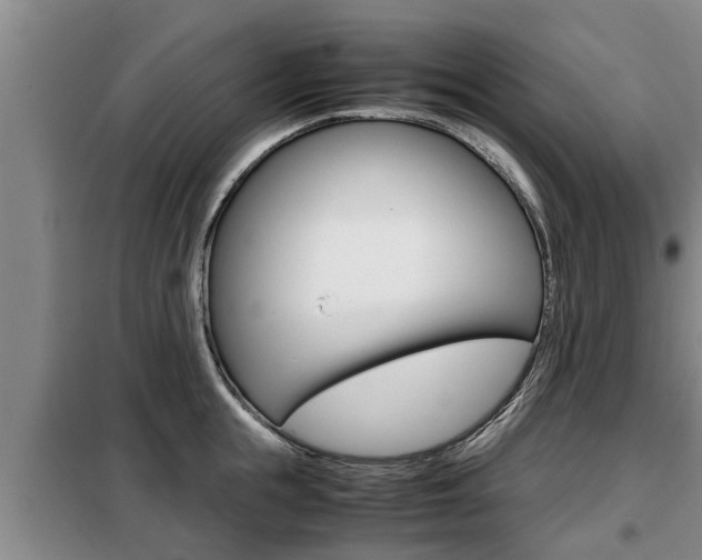 X0000099410855200805090726