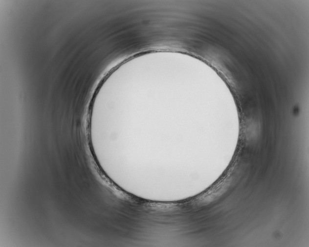 X0000099410856200805090726