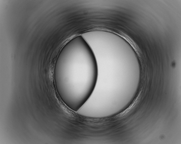 X0000099410857200805090726