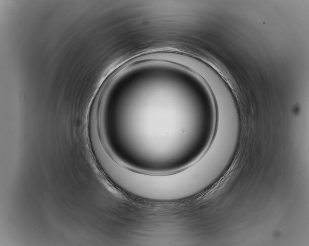 X0000099410858200805090726