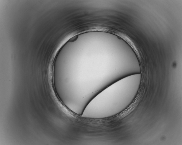 X0000099410859200805090726