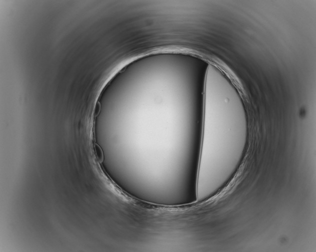 X0000099410860200805090726