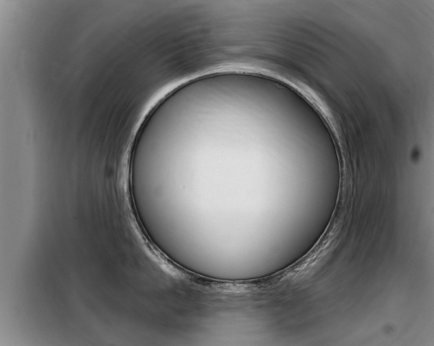X0000099410862200805090726