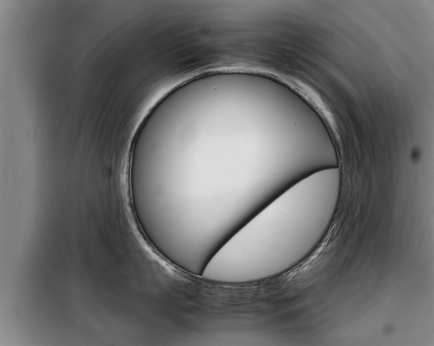 X0000099410863200805090726