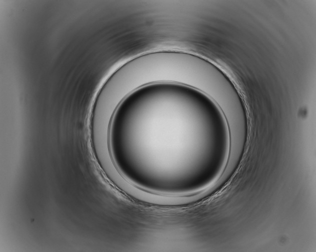 X0000099410864200805090726