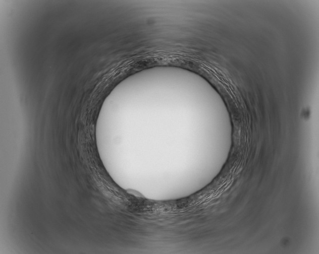 X0000099410865200805090725