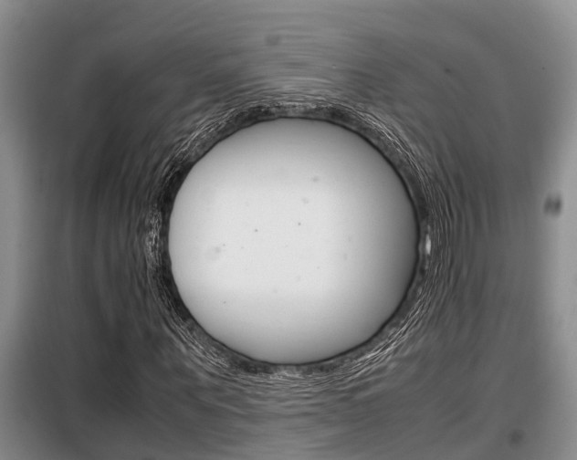 X0000099410867200805090725