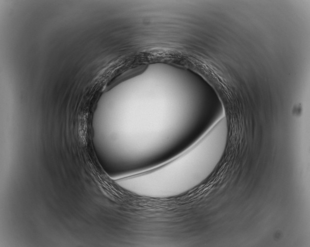 X0000099410868200805090725