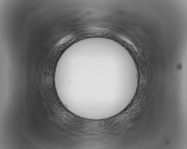 X0000099410869200805090725