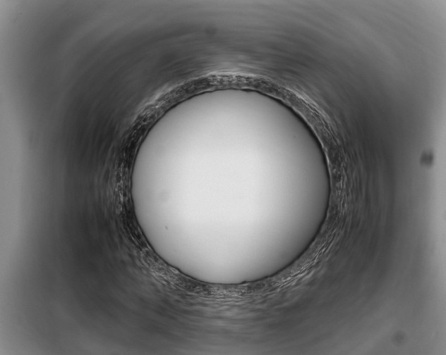 X0000099410870200805090725