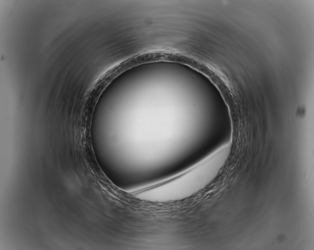 X0000099410872200805090725