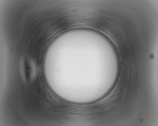 X0000099410873200805090725