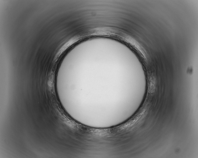 X0000099410874200805090725