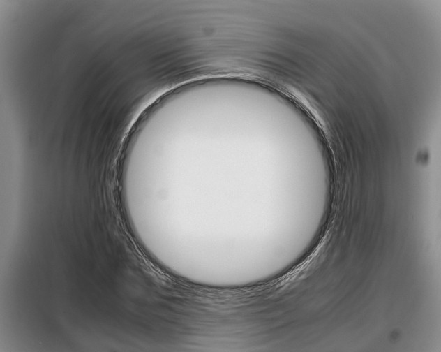 X0000099410875200805090725