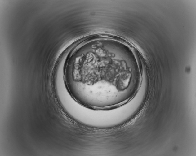 X0000099410877200805090725