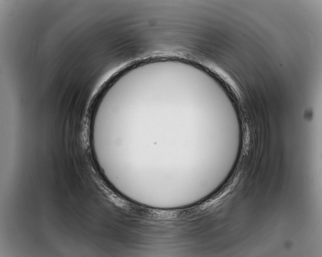 X0000099410878200805090725