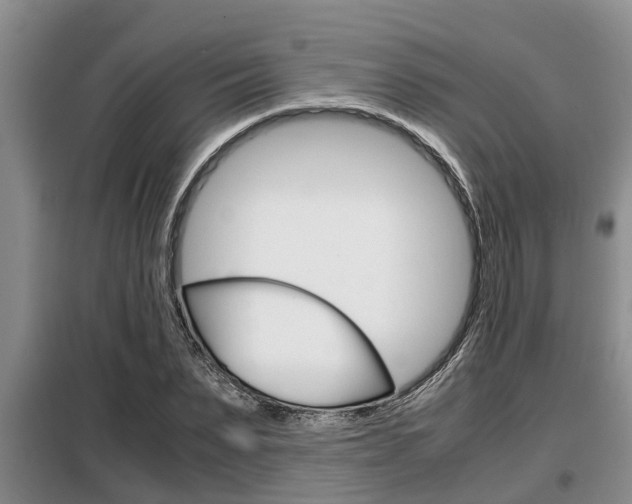X0000099410879200805090725