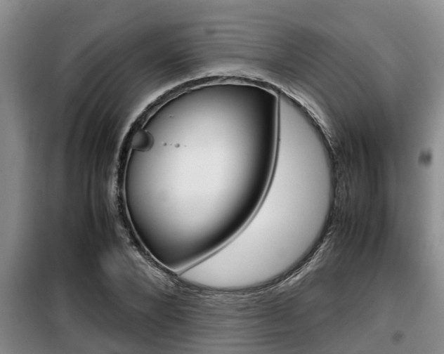 X0000099410880200805090725