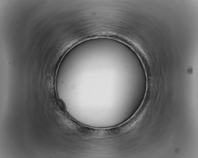 X0000099410881200805090725