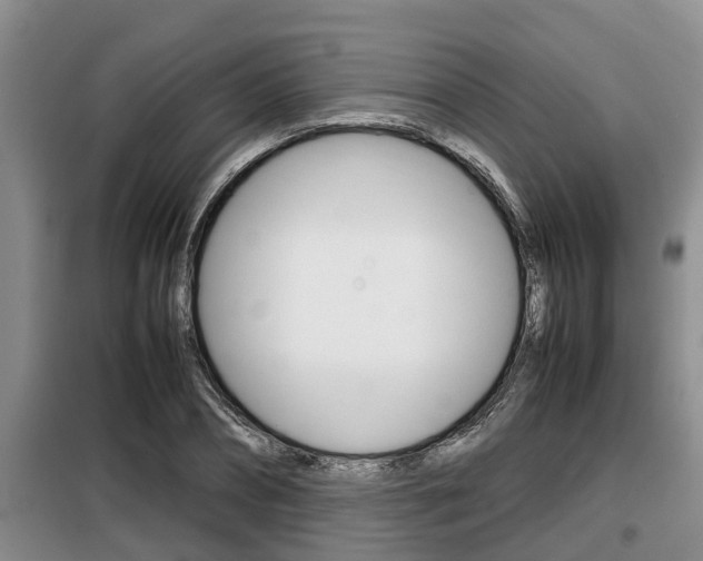 X0000099410882200805090725
