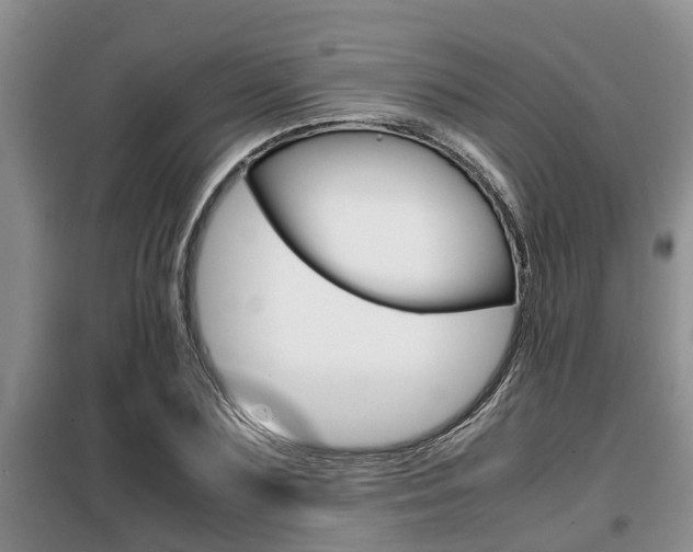 X0000099410883200805090725