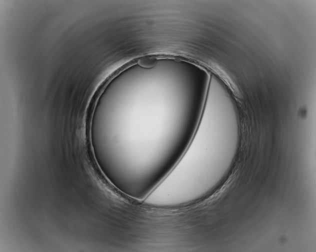 X0000099410884200805090725