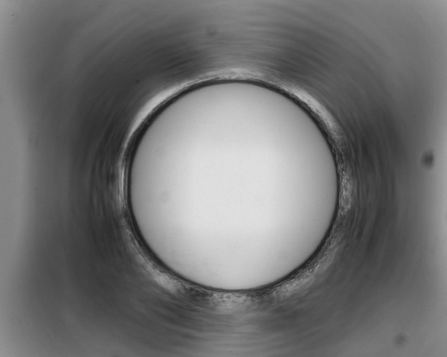 X0000099410886200805090725