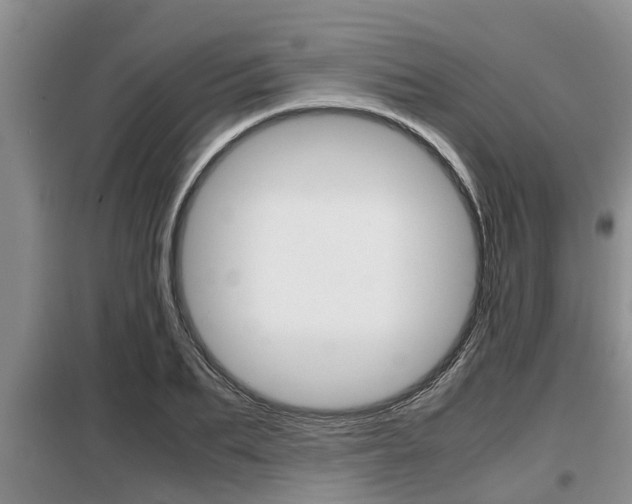 X0000099410887200805090725