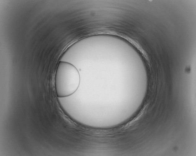 X0000099410889200805090725