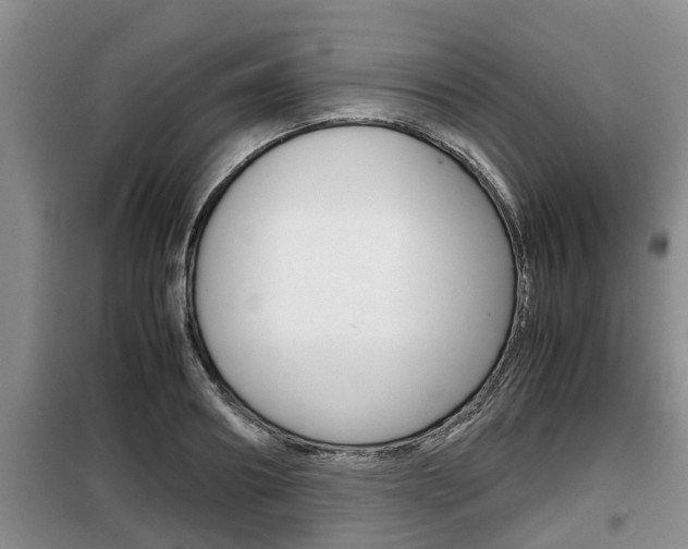 X0000099410890200805090725