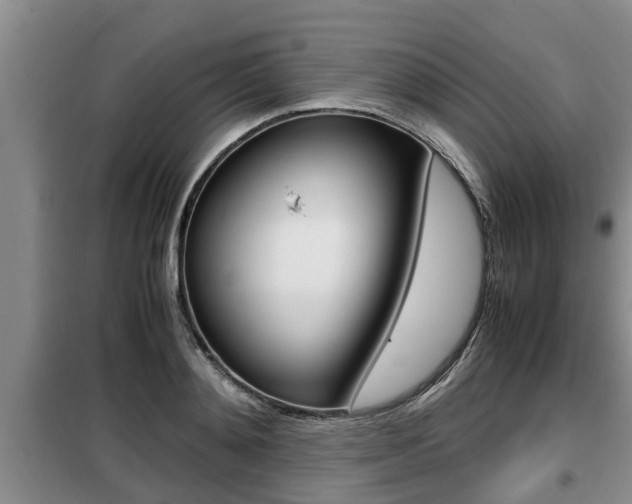X0000099410892200805090725