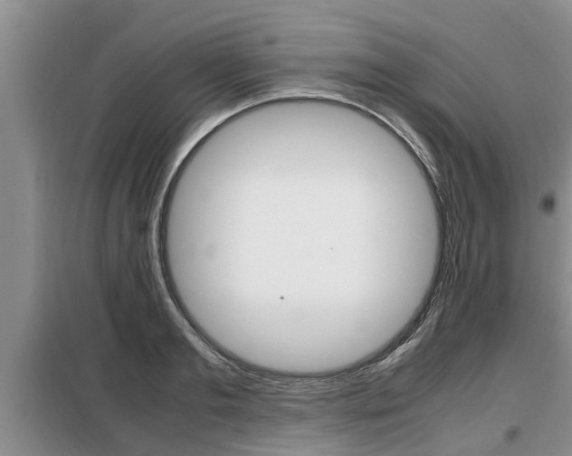 X0000099410893200805090725