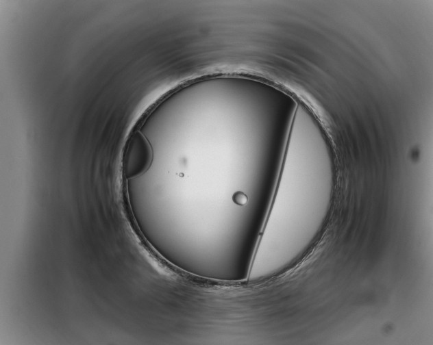 X0000099410894200805090725