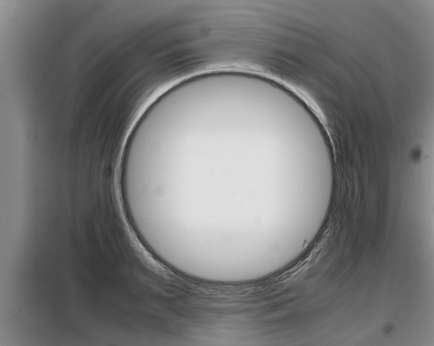 X0000099410895200805090725