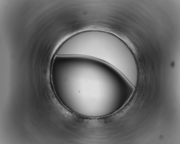 X0000099410896200805090725
