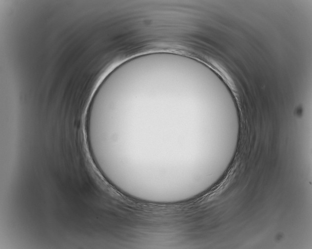 X0000099410899200805090724