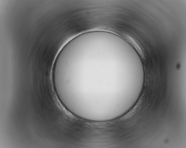 X0000099410900200805090724