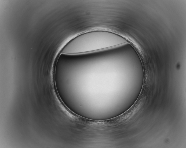 X0000099410902200805090724