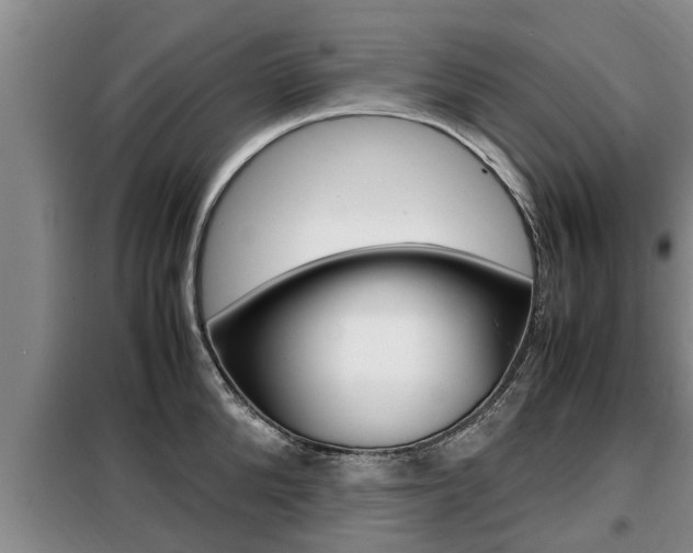 X0000099410904200805090724