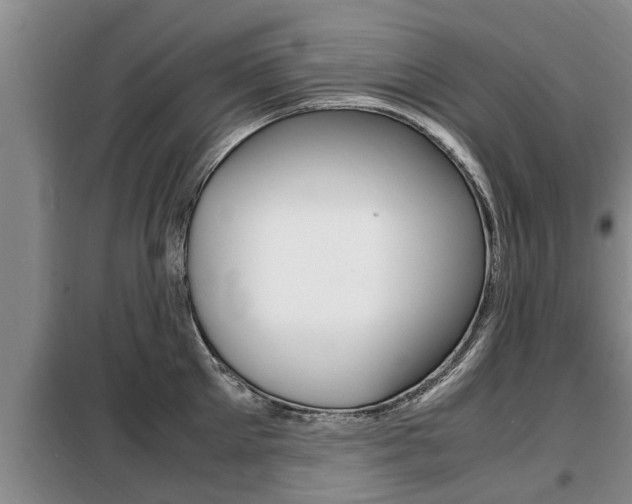 X0000099410905200805090724