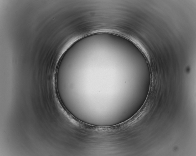 X0000099410906200805090724