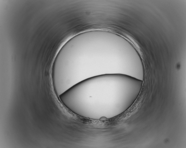 X0000099410907200805090724