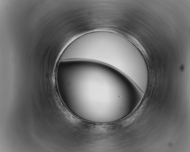 X0000099410908200805090724