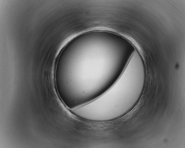 X0000099410910200805090724