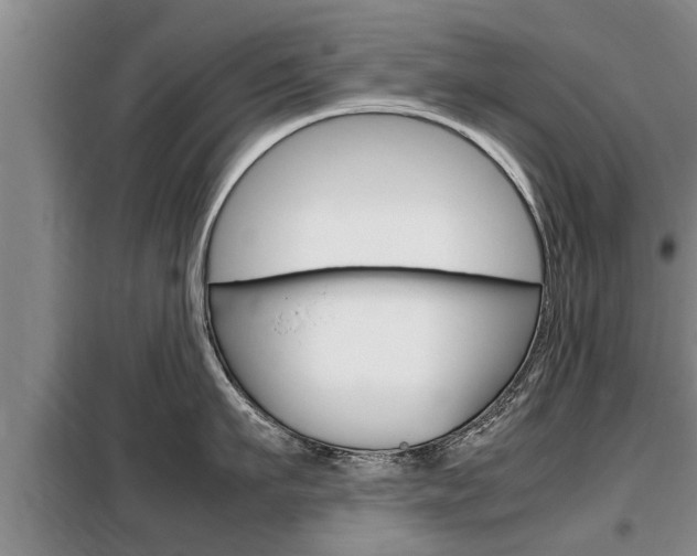 X0000099410911200805090724
