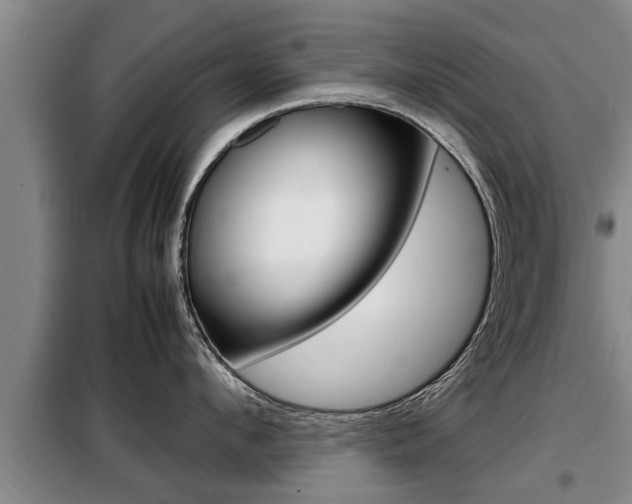 X0000099410912200805090724