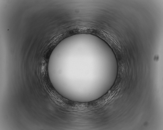 X0000099410914200805090724