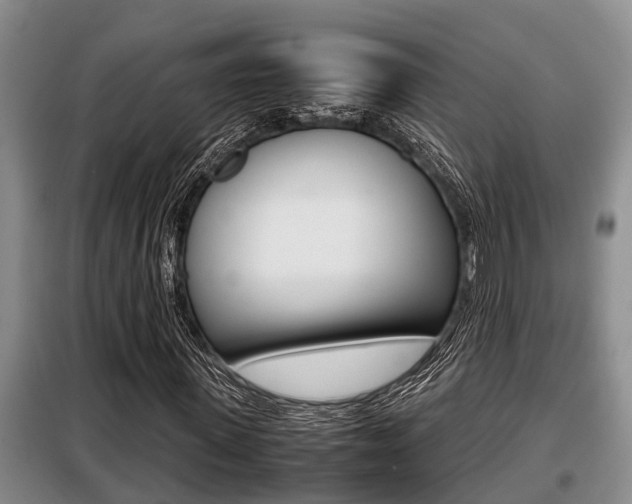 X0000099410915200805090724