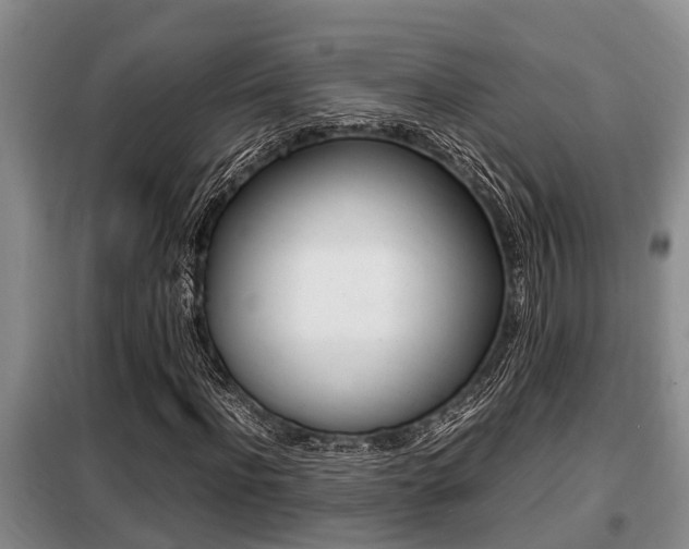 X0000099410916200805090724