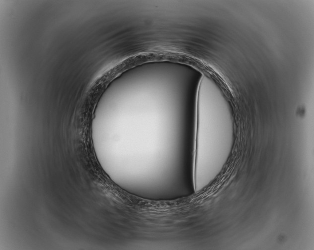 X0000099410919200805090724
